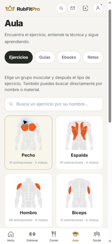 Aprende la técnica por grupo muscular